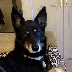 Meet your Posher, Tiffany